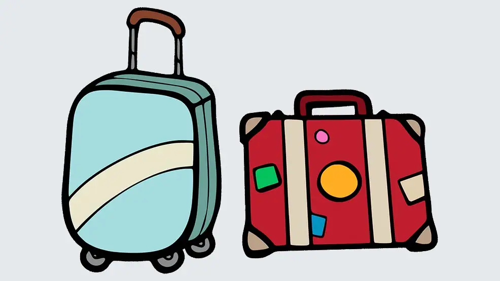 carry-on variants